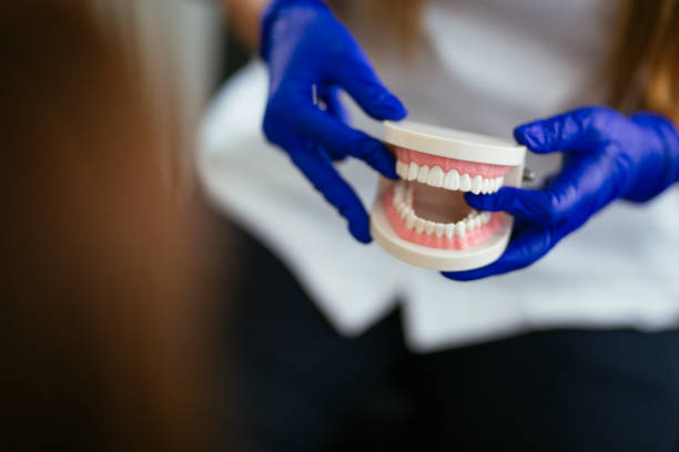 Best Dental Exams and Cleanings  in Belle Rose, LA